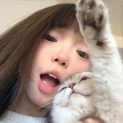 神驹黑美人